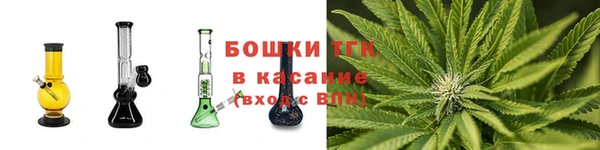 крисы Коряжма