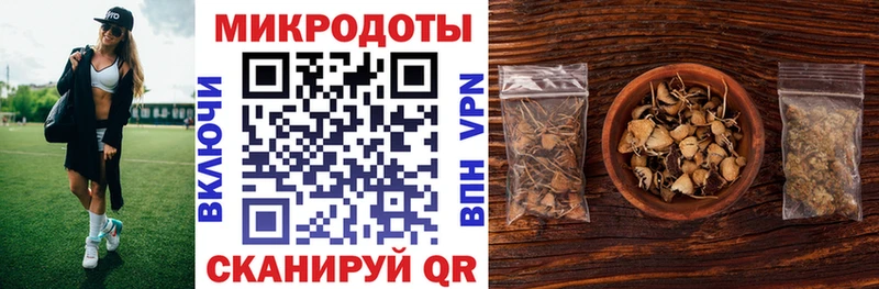 Галлюциногенные грибы Psilocybine cubensis  Сегежа 