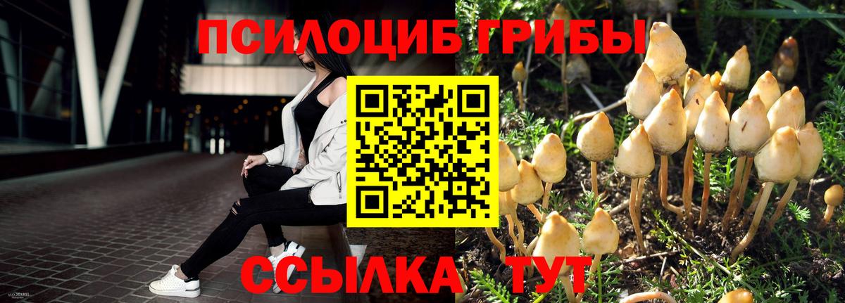 Псилоцибиновые грибы GOLDEN TEACHER  Вход с VPN  Сегежа 